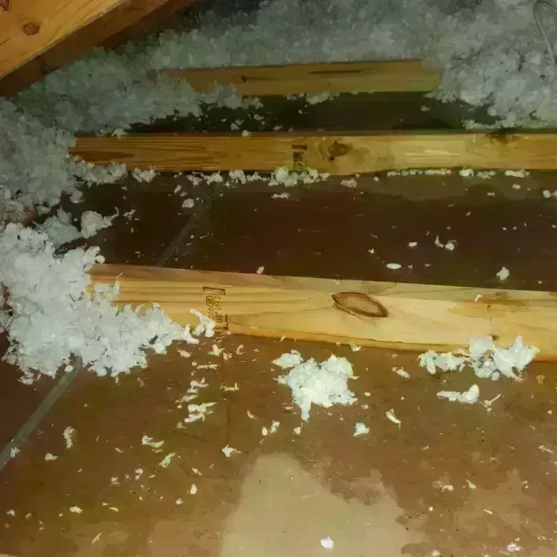 Attic Water Damage in Sherman County, NE